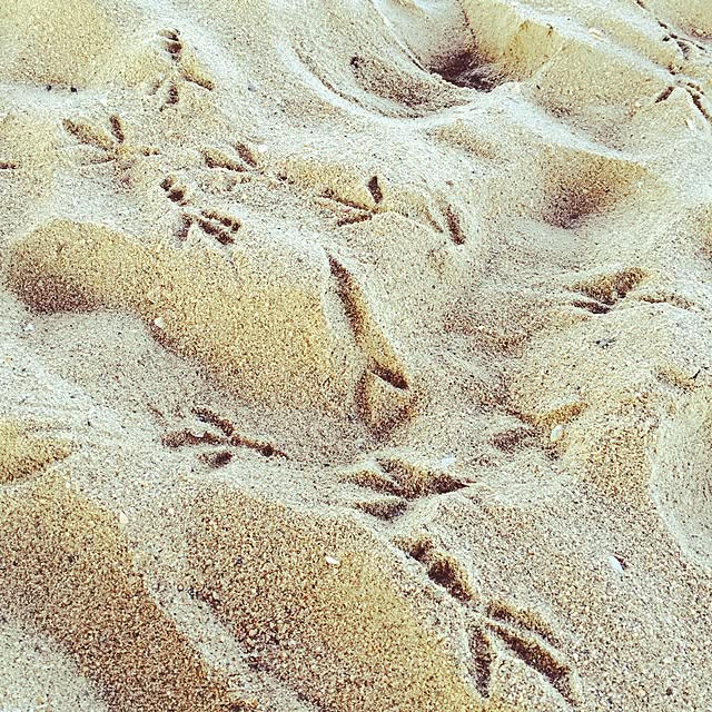 secretBEACHさんの実例写真