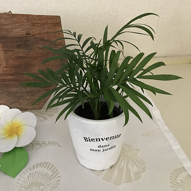 erieriさんの実例写真