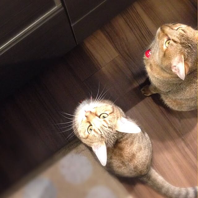 1633さんの実例写真