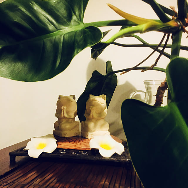 mana3さんの実例写真