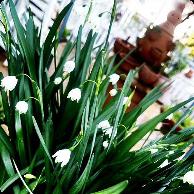 Ohigeさんの実例写真