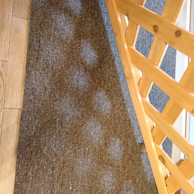 masamasaさんの実例写真