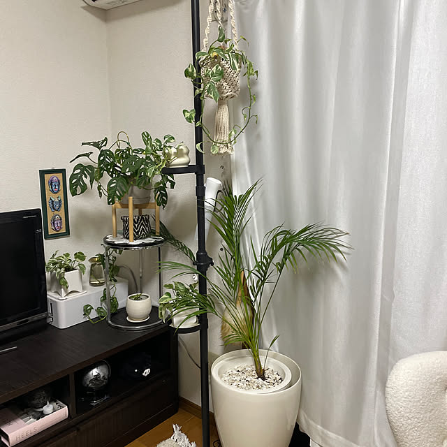 konekoginjiさんの実例写真