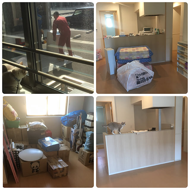 部屋全体のインテリア実例 - 2017-10-11 21:24:51