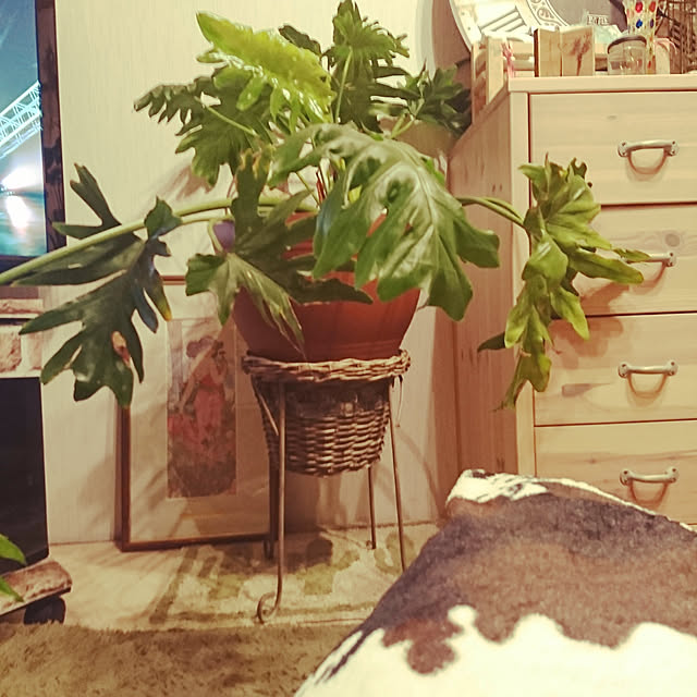 akken0622さんの実例写真