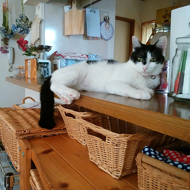 yum0408さんの実例写真