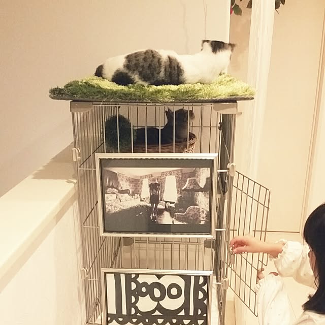 runayucoさんの実例写真
