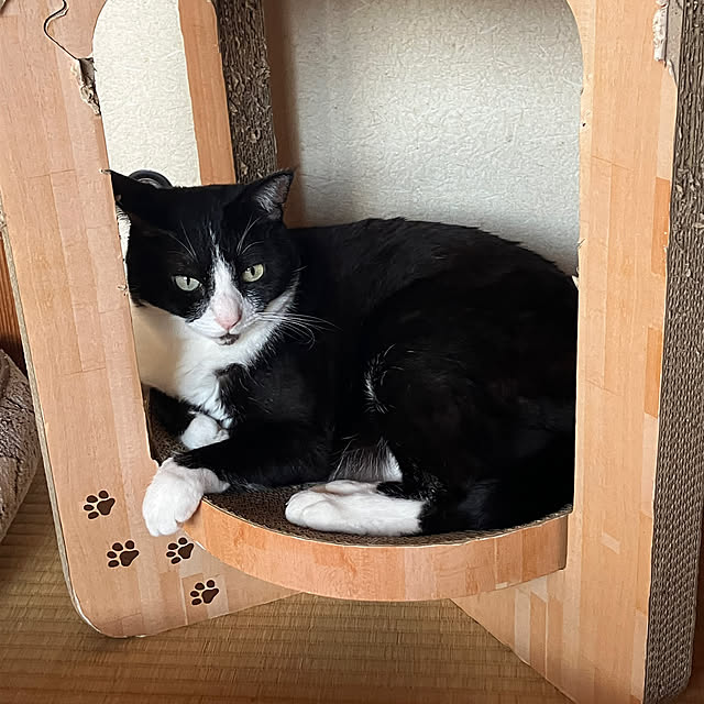 kibidangotabetaiさんの実例写真