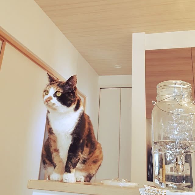 aiさんの実例写真