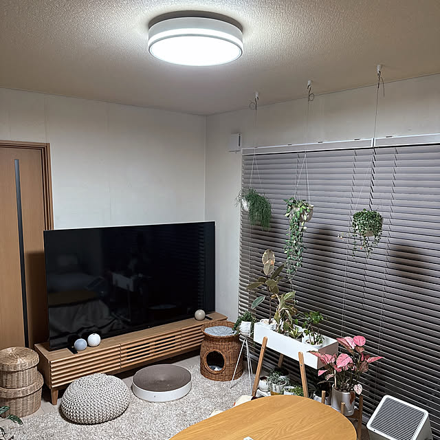 chinaさんの部屋