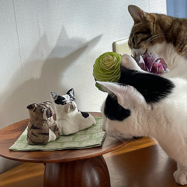 nobikoさんの実例写真