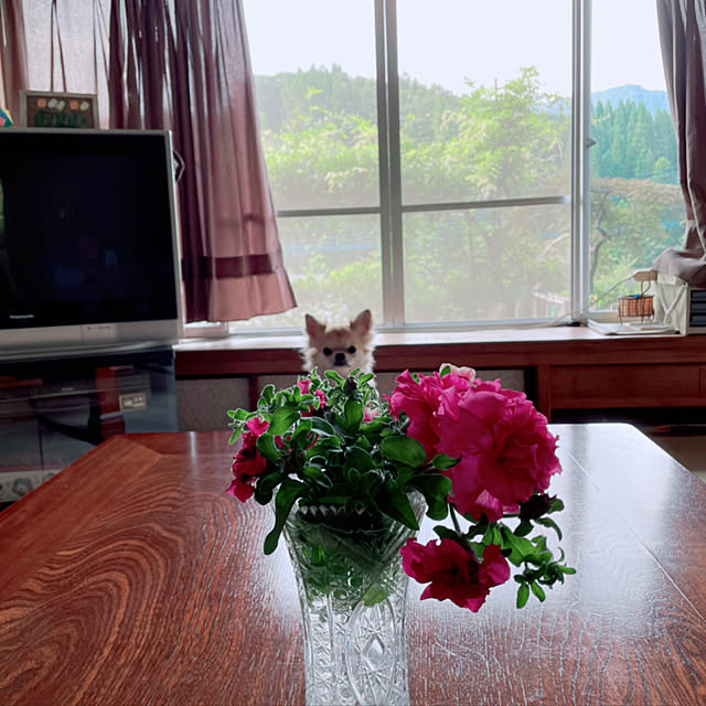 natsumiさんの実例写真