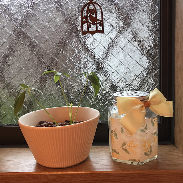 katoponさんの部屋