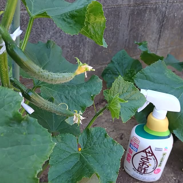NOAHさんの部屋
