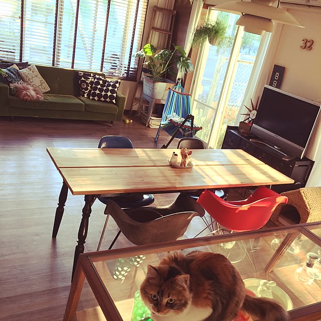 Megumiさんの実例写真