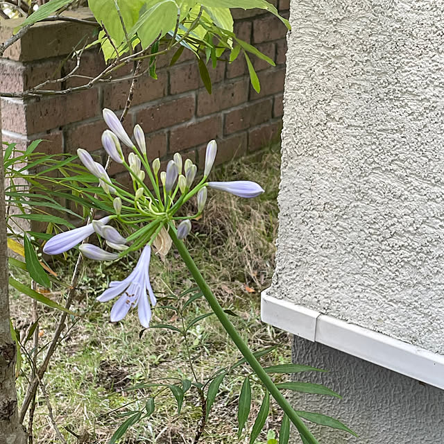 cheeさんの部屋