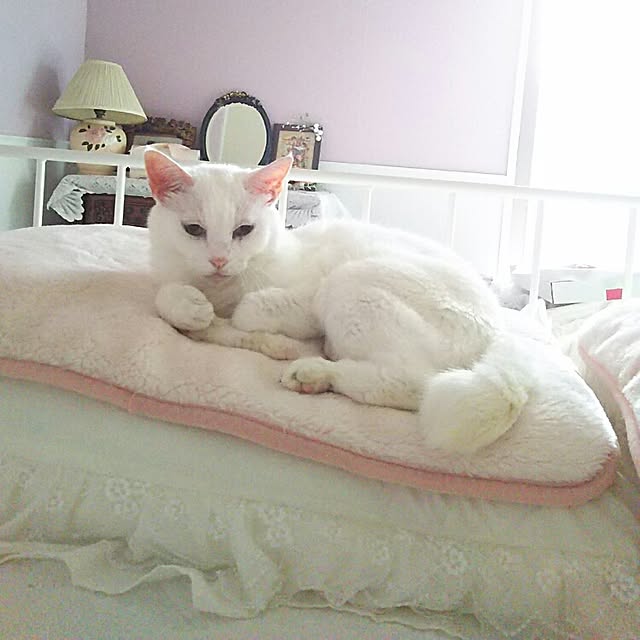 sakuraさんの実例写真