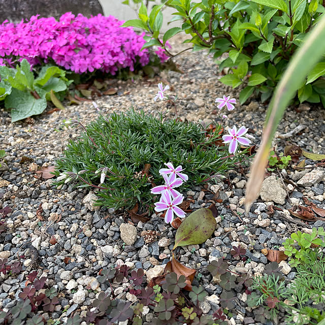 shin0719さんの部屋