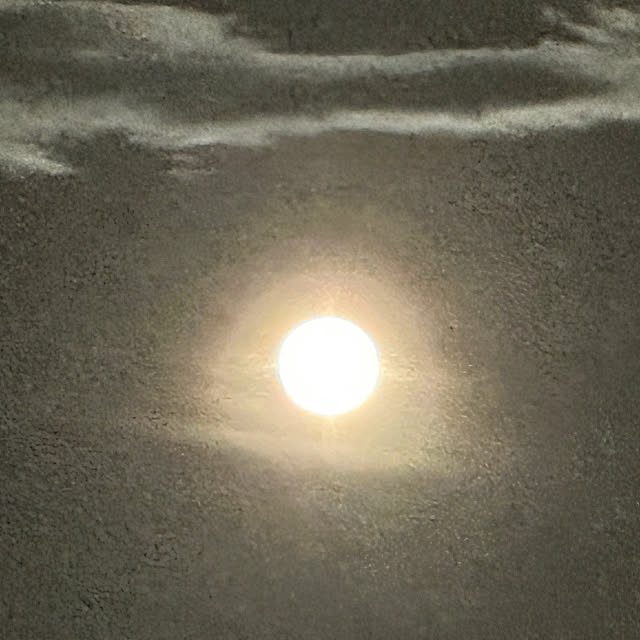 lemonadeさんの部屋