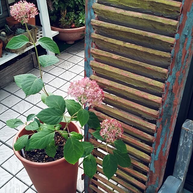 実例写真
