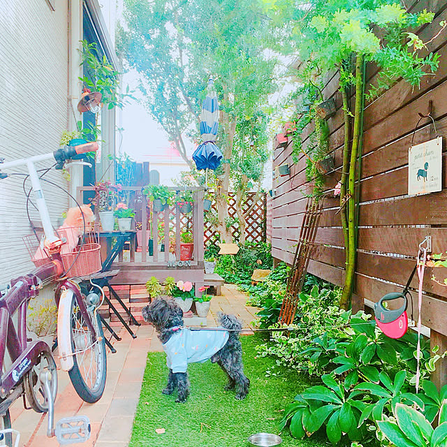 risaさんの実例写真
