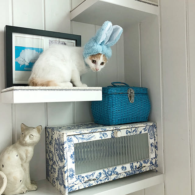 yuchiさんの実例写真