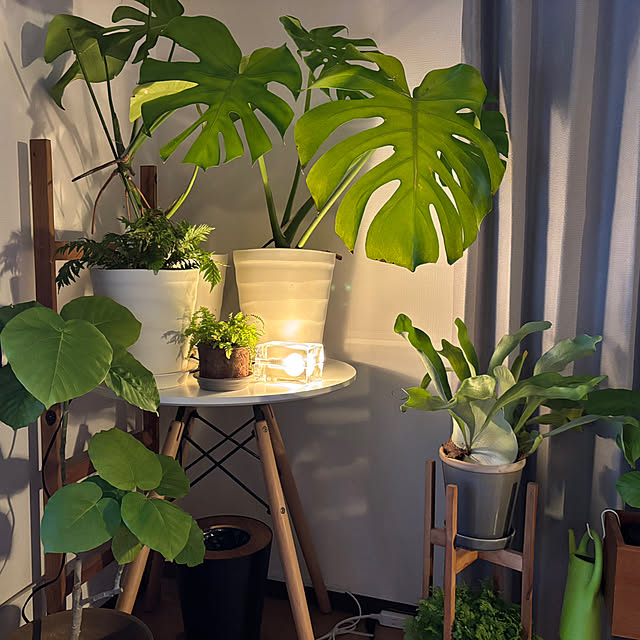 hngbo015さんの部屋