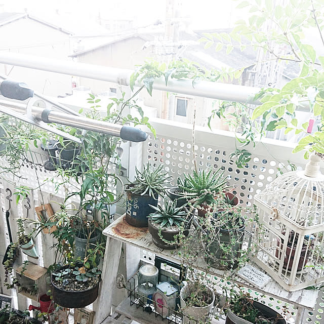 okameさんの実例写真