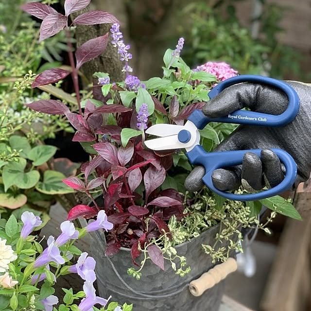 Royal_Gardeners_Clubさんの実例写真