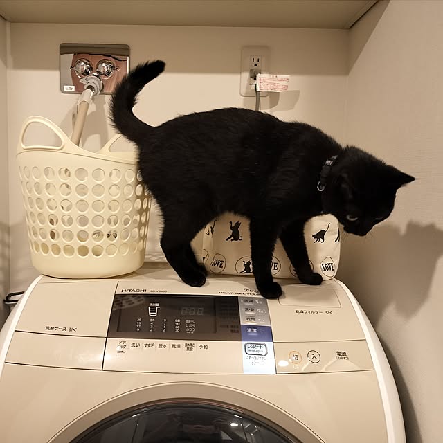 sakuraさんの部屋