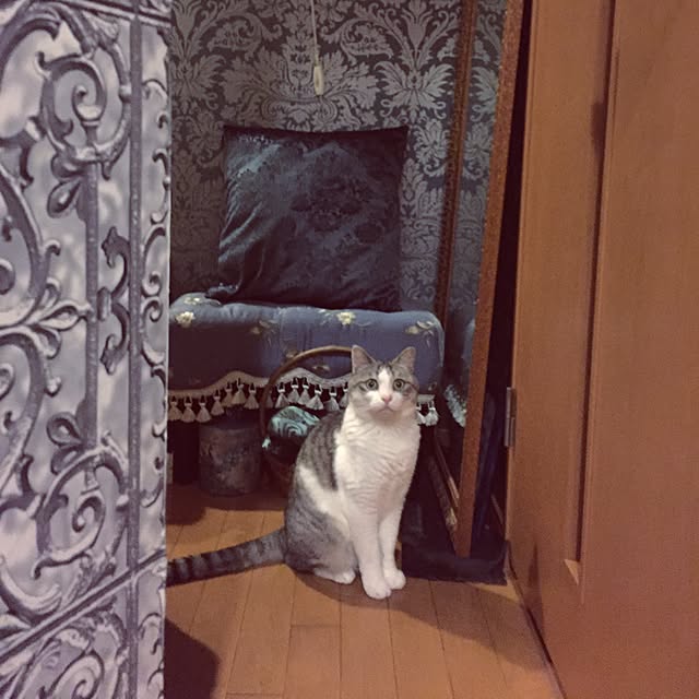 emmyyさんの実例写真