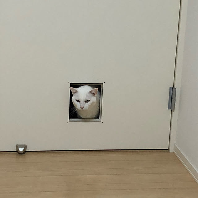 riechanさんの実例写真