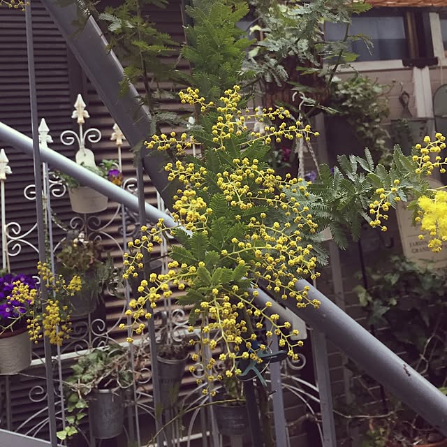 greenroseさんの実例写真