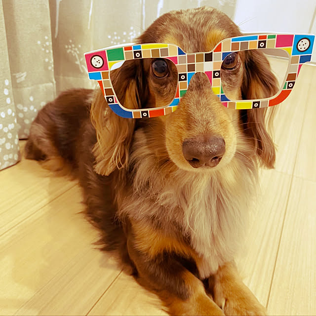 cocoaさんの実例写真