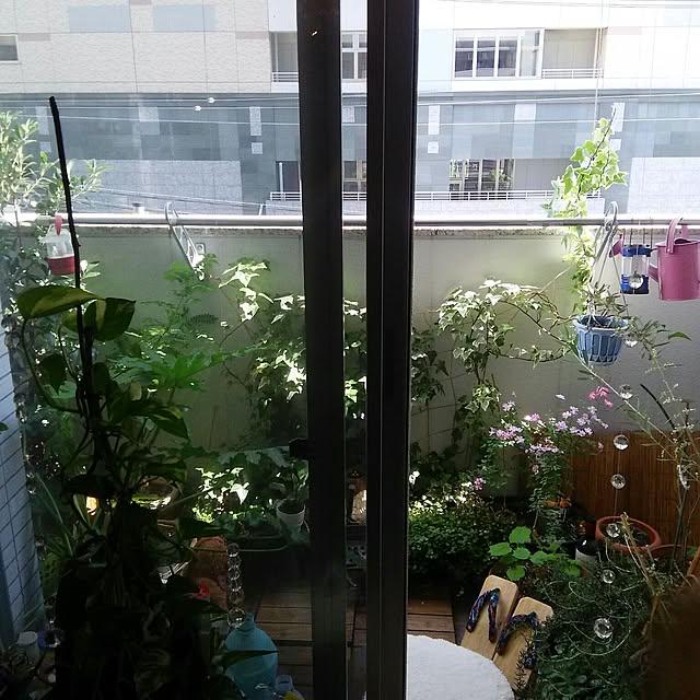 shironosukeさんの実例写真