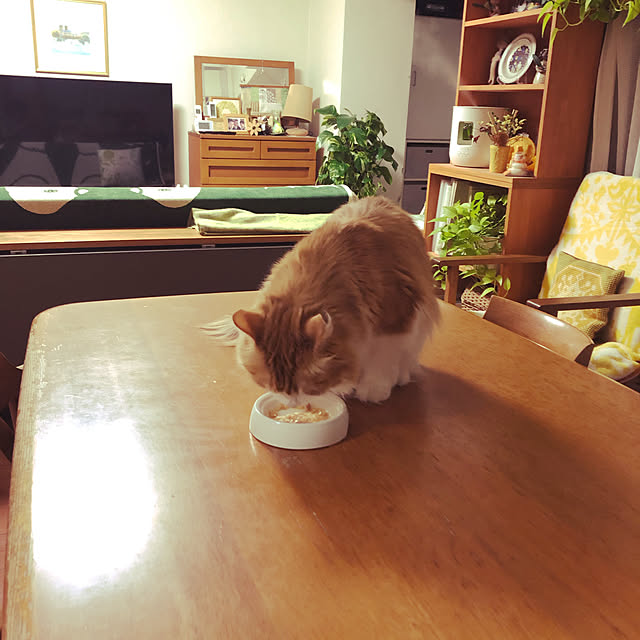 uchidaizuさんの実例写真