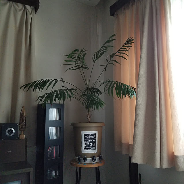 bazzさんの実例写真