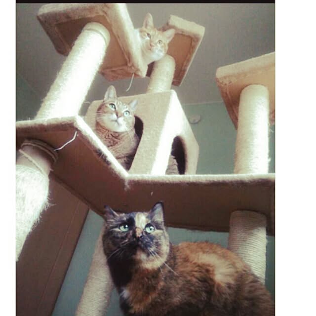 k.namiさんの実例写真