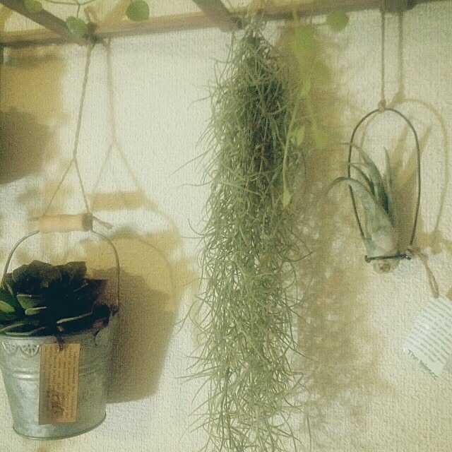 dezさんの実例写真