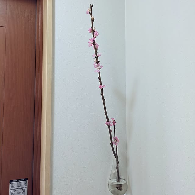 Shion+さんの部屋