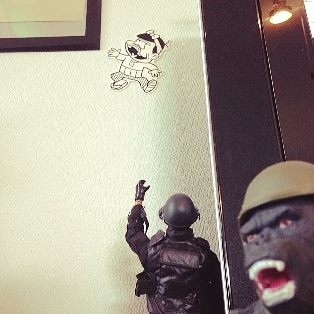 Hatoさんの実例写真