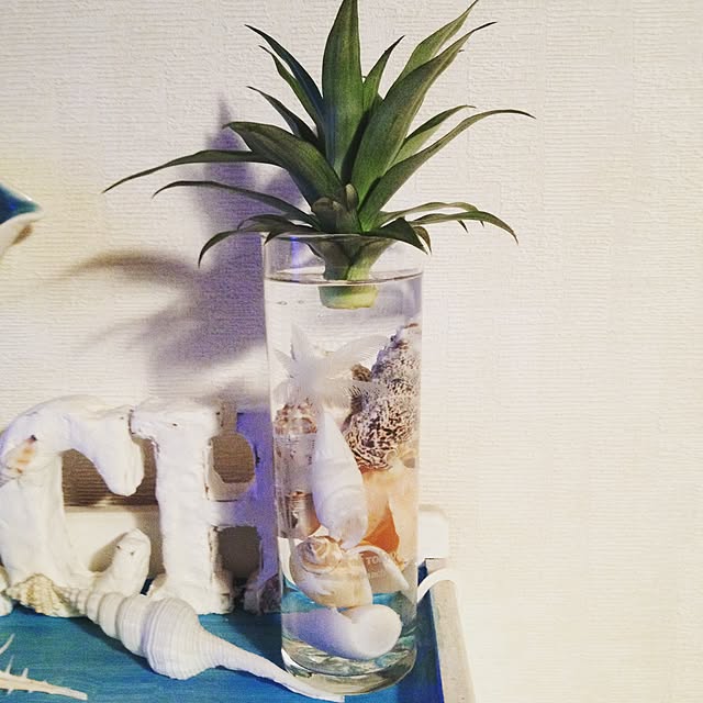 Malamaさんの実例写真