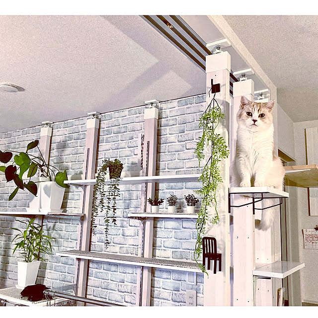 H.Tさんの実例写真