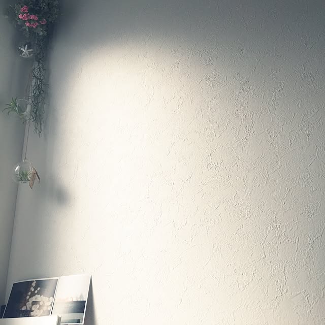 Izumiさんの実例写真
