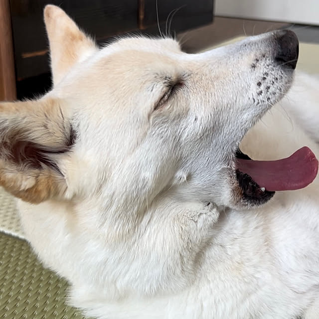 tanboさんの部屋