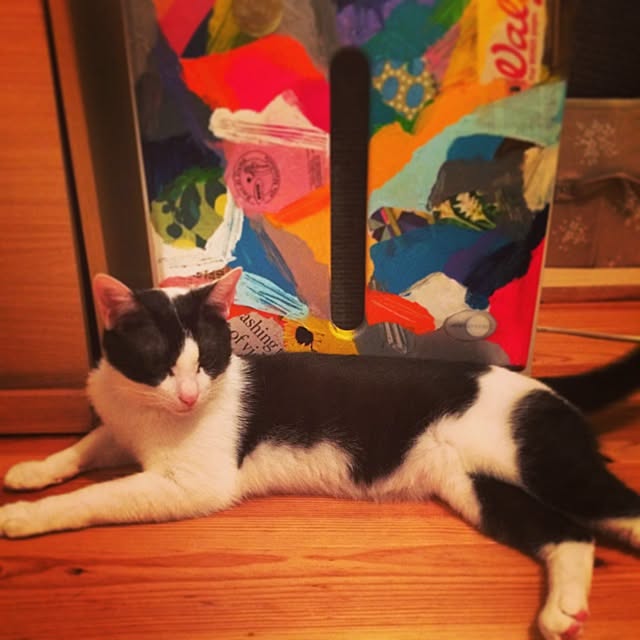 mihomihoさんの実例写真