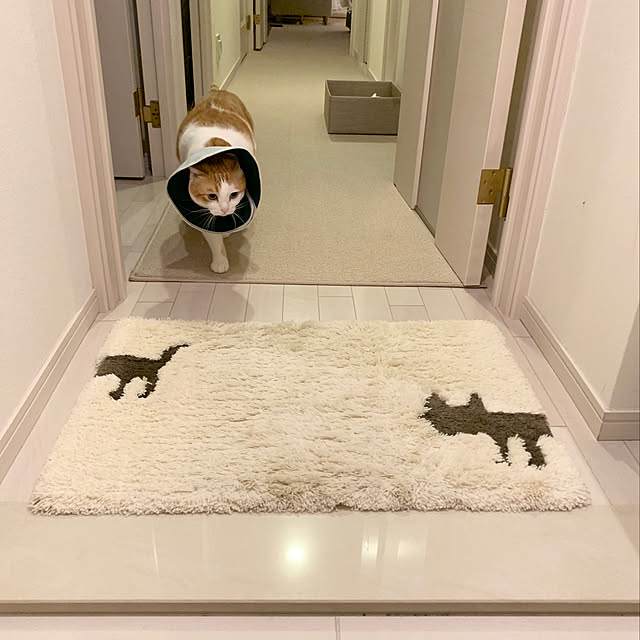 bikkeさんの実例写真