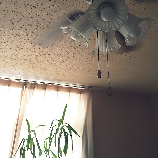 maria.rさんの実例写真