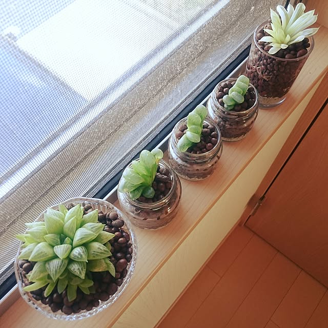 ELi7aさんの実例写真