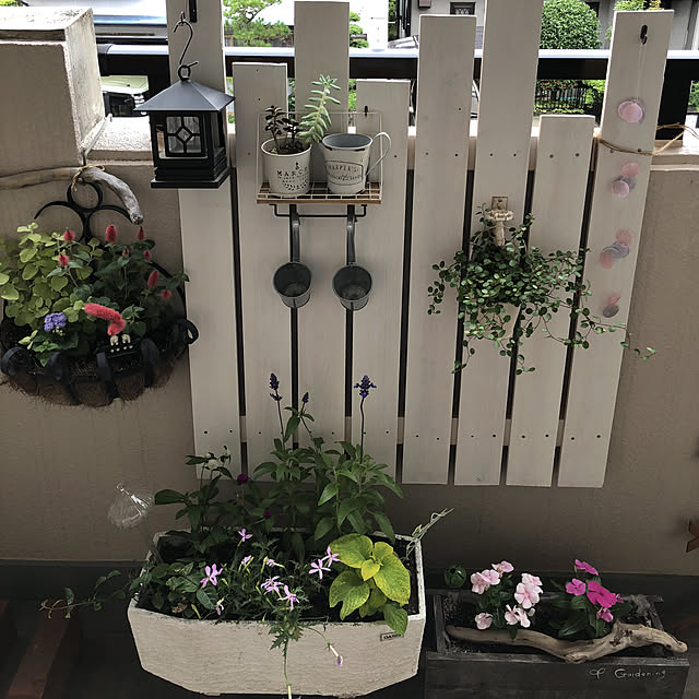 pingub_dさんの実例写真